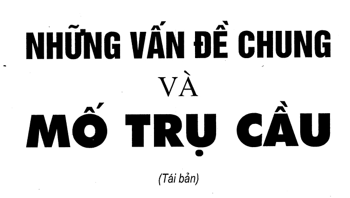 Những Vấn Đề Chung & Chuyên Sâu Về Mố Trụ Cầu (Nguyễn Như Khải, Phạm Duy Hòa, Nguyễn Minh Hùng)