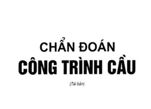 Nguyên Lý và Phương Pháp Chẩn Đoán Công Trình Cầu -Tác Giả Nguyễn Viết Trung